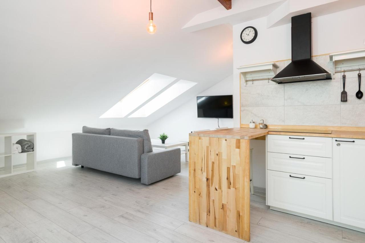 Apartment Alexander Kraków Eksteriør billede